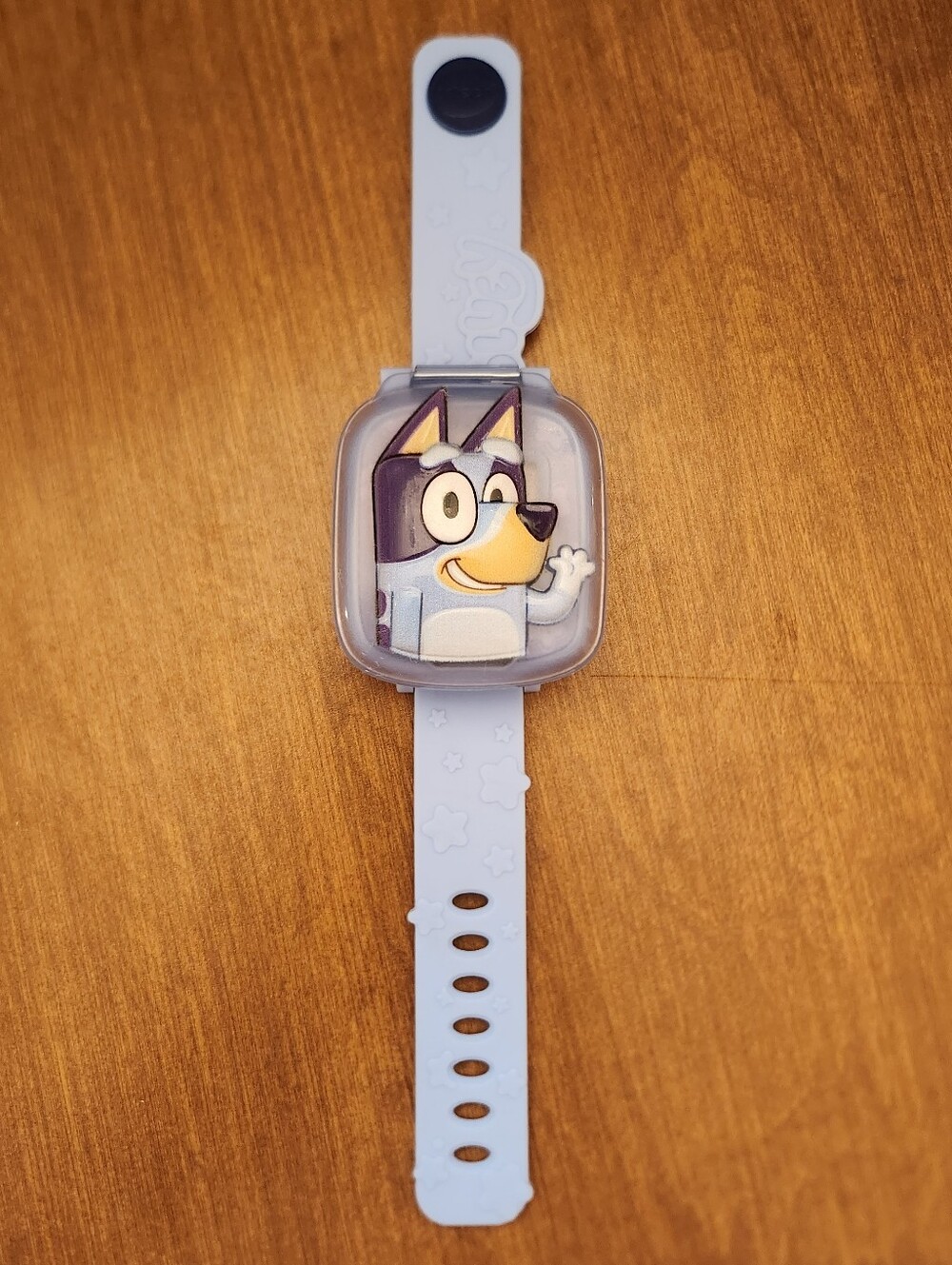 Bluey Interactive Watch